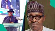 Buhari's death: Ex-President Jonathan mourns, "I have lost a respected colleague and elder"