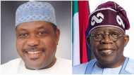 George Akume: 7 interesting facts to know about new SGF appointed by President Tinubu