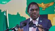 Zambia publishes list of 20 African countries eligible for visa-free entry in 2026