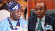 2023: Tinubu's presidential bid threatened as moves to draft CBN governor thicken