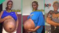 "38 weeks of pregnancy": Woman who welcomed twins shares week-by-week video of her maternity journey