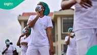 List of countries offering nursing jobs with visa sponsorship in 2026