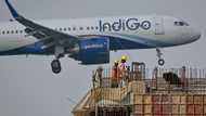 India's biggest airline IndiGo says operations 'back to normal'