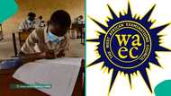 WAEC, disinformation, and the redemption of exam integrity in Nigeria