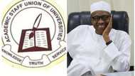 ASUU strike: Finally president Buhari intervenes as varsity resumption edges closer