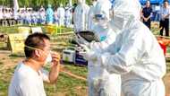 H10N3: New virus strain emerges as first case is recorded in China