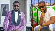 Actor Alexx Ekubo trolls his friend AY Makun, calls him Illuminati