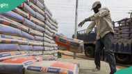 Nigerians abandon cement, find alternative as traders sell product for new price