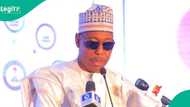 Insecurity: Nigerian governor spits fire, accuses politicians, soldiers of conniving with Boko Haram
