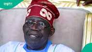 We were offered N200m bribe to stage protest against Tinubu, Matawalle, northern group opens up