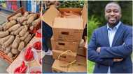 "It's profitable": Wise Nigerian man starts to sell yams in the UK, viral video trends on Twitter