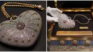 World's most expensive bag: Mouawad '1001 Nights Diamond' purse is worth N1.5 billion