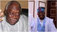 Flashback: "I will cease to be a Nigerian if Tinubu becomes president," PDP chieftain, Bode George declares
