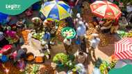 Dealers quote new prices for garri, potato, other food items, report shows cheapest states to buy