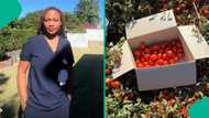 Nigerian lady leaves life in Australia, returns home to become a farmer, shares reason