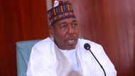 Borno: Zulum Ya Sanar da Abun Mamakin da Ya Faru da 'Yan Ta'adda Wanda Ba a Taba ba a Duniya
