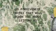 Top 25 best forgiveness quotes to help you let go