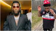 "It's no longer a big deal": Fans unimpressed as US star RodWave sings Burna Boy's Last Last in video