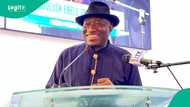 2027 election: "Formidable player," Sani speaks on possibility of Jonathan vying for presidency