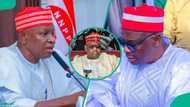 'Abin da na fada wa Abba Kabir game da butulce wa Kwankwaso - Sanatan NNPP'