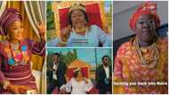 Mummy Dolarz replies Big Ivy's 'Mama Naira', calls out Shatta Wale in song: "Mama Ghana dey make noise"
