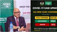 Just in: Nigeria confirms 566 fresh COVID-19 cases, 8 more deaths (see 20 states affected)