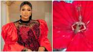 Eve Esin speechless after 'hibiscus' dress she ordered arrived: "I ended up looking like a bat"