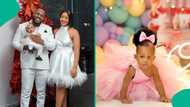 Glimpses of Frodd's daughter Elena's adorable pink-themed first birthday party emerges online