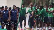 Nigeria vs Ivory Coast: Pre AFCON 2023 final live update, team news, kick-off time, predictions