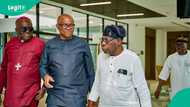 Peter Obi meets Obasanjo amid sponsorship controversies