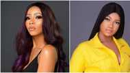 Mercy disses Tacha? BBNaija winner says it’s better to be evicted than disqualified