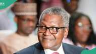 Dangote begins another project after completing $20 billion refinery, Nigerian youths to benefit