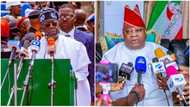 Intrigues as Tinubu congratulates Adeleke over supreme court victory