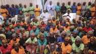 FG gives fresh updates, says released Chibok girls excelling in university