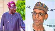 Prominent northern elder shares reason President Bola Tinubu "got 63% votes" from region during 2023 election