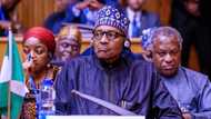 BREAKING: Nigeria unemployment rate rises to 33%, second highest in the world