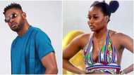 BBNaija All Stars: "Whoever threw Ilebaye's clothes shouldn't come to my house," Cross attacks housemates