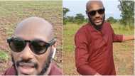2baba becomes farmer, shows off his huge soya beans farmland in Benue state (videos)