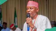 BREAKING: Kano Governor Yusuf files appeal at Supreme Court to challenge sack