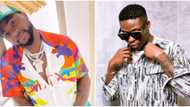 I witness am tonight: Davido declares that Reekado Banks has 100 hit songs after watching his performance