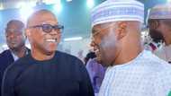 “My respected elder brother and leader”: Peter Obi hails Atiku on 77th birthday, shares photo