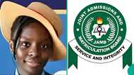 2025 UTME: Top scorer of Kwara school scores above 370 as 7 others get over 300, results trend