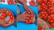 "Everybody shine your eyes o": Nigerian man exposes tomato seller in video over fraudulent act