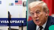 List of Nigerians who are exempted after US announced partial suspension for visa issuance