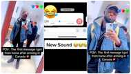 Nigerian man runs to Canada after impregnating lady, receives WhatsApp voice note from woman in video
