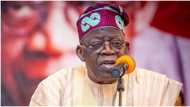 Zan Cire Tallafin Man Fetur Idan Nayi Nasara a zabe: Tinubu