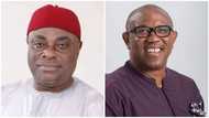 APGA chairman reveals the vow Peter Obi made to party years before joining PDP