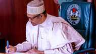 Breaking: Buhari appoints northern judge to top position
