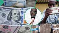 Nigeria’s foreign reserve falls by over $500m in just 6 days as CBN battles to defend naira’s value