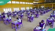 WASSCE 2024: WAEC ta rike sakamakon jarabawar dalibai 215,267, ta fadi dalili